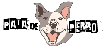 fotografia mascotas
